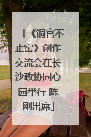 《铜官不止窑》创作交流会在长沙政协同心园举行 陈刚出席