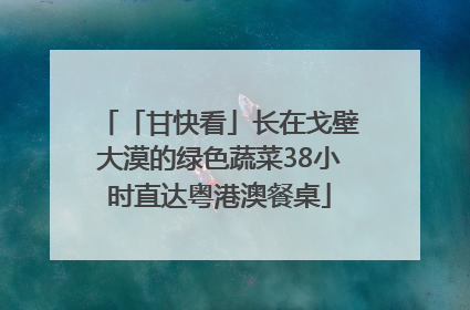 「甘快看」长在戈壁大漠的绿色蔬菜38小时直达粤港澳餐桌