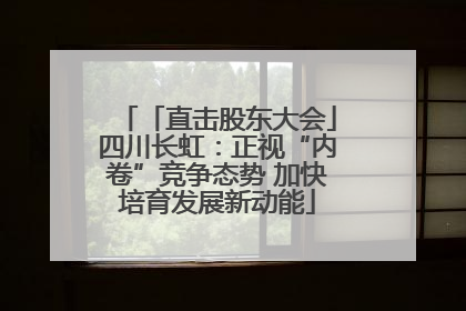 「直击股东大会」四川长虹：正视“内卷”竞争态势 加快培育发展新动能