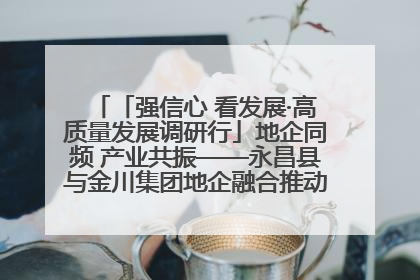 「强信心 看发展·高质量发展调研行」地企同频 产业共振——永昌县与金川集团地企融合推动重大项目建设