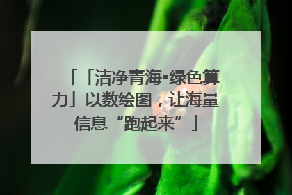 「洁净青海•绿色算力」以数绘图，让海量信息“跑起来”