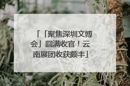 「聚焦深圳文博会」圆满收官！云南展团收获颇丰