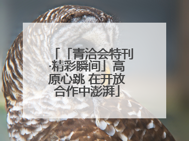 「青洽会特刊·精彩瞬间」高原心跳 在开放合作中澎湃