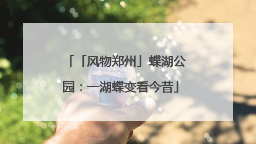 「风物郑州」蝶湖公园：一湖蝶变看今昔