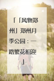 「风物郑州」郑州月季公园：一路繁花相迎