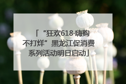 “狂欢618·嗨购不打烊”黑龙江促消费系列活动明日启动