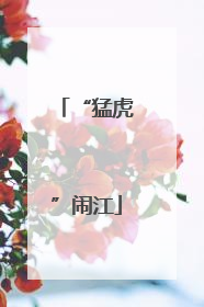 “猛虎”闹江