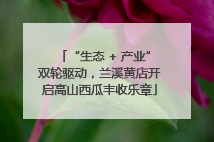 “生态 + 产业”双轮驱动，兰溪黄店开启高山西瓜丰收乐章