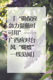 “确保应急力量随时可用”——广西应对台风“蝴蝶”一线见闻