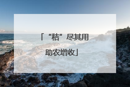 “秸”尽其用 助农增收