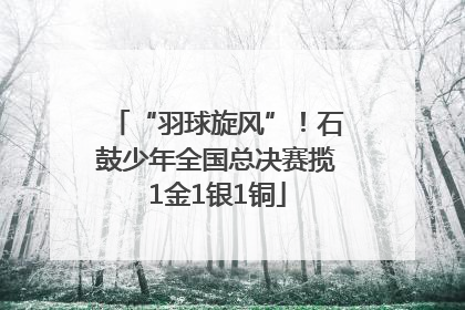 “羽球旋风”！石鼓少年全国总决赛揽1金1银1铜