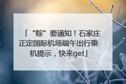“粽”要通知！石家庄正定国际机场端午出行乘机提示，快来get