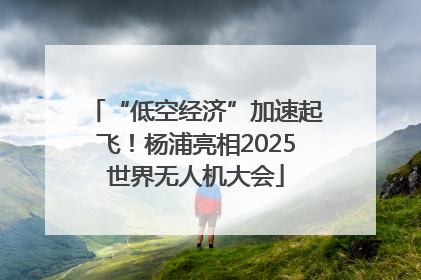 “低空经济”加速起飞！杨浦亮相2025世界无人机大会