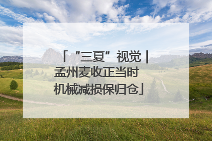“三夏”视觉｜孟州麦收正当时 机械减损保归仓
