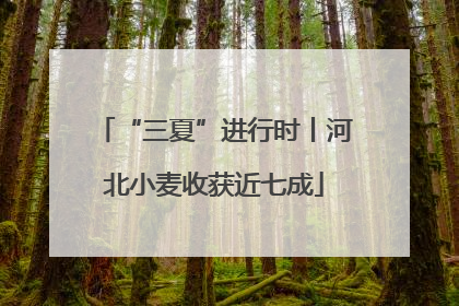 “三夏”进行时丨河北小麦收获近七成