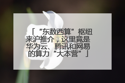 “东数西算”枢纽来沪推介，这里竟是华为云、腾讯和网易的算力“大本营”