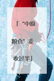 “中原粮仓”麦收过半