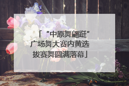 “中原舞翩跹”广场舞大赛内黄选拔赛舞圆满落幕