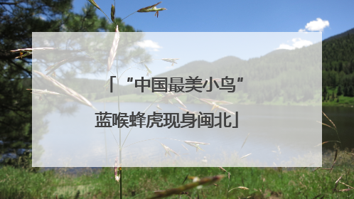 “中国最美小鸟”蓝喉蜂虎现身闽北