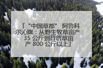 “中国草都” 阿鲁科尔沁旗：从野生牧草亩产 35 公斤到苜蓿草亩产 800 公斤以上