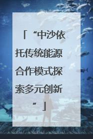 “中沙依托传统能源合作模式探索多元创新”