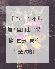 “五一”不扎堆！里口山“采摘+撸宠+露营”全攻略
