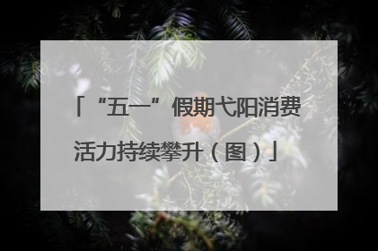 “五一”假期弋阳消费活力持续攀升（图）