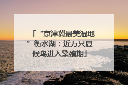 “京津冀最美湿地”衡水湖：近万只夏候鸟进入繁殖期