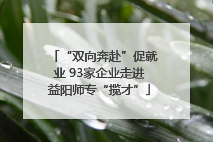 “双向奔赴”促就业 93家企业走进益阳师专“揽才”