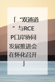 “双通道”与RCEP口岸协同发展推进会在怀化召开