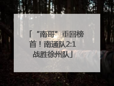 “南哥”重回榜首！南通队2:1战胜徐州队