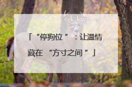 “停狗位 ”：让温情藏在 “方寸之间 ”