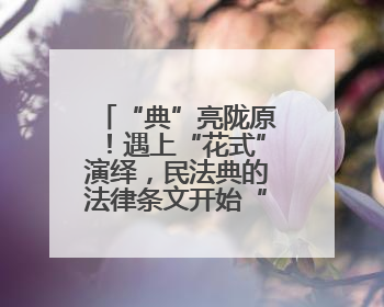 “典”亮陇原！遇上“花式”演绎，民法典的法律条文开始“动”起来了