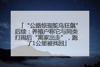 “公路惊现鸵鸟狂飙”后续：养殖户称它与同类打闹后“离家出走”，跑了1公里被找回