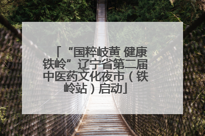 “国粹岐黄 健康铁岭”辽宁省第二届中医药文化夜市（铁岭站）启动