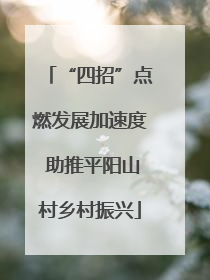 “四招”点燃发展加速度 助推平阳山村乡村振兴