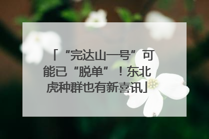 “完达山一号”可能已“脱单”！东北虎种群也有新喜讯