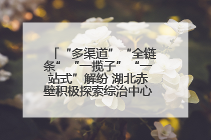 “多渠道”“全链条”“一揽子”“一站式”解纷 湖北赤壁积极探索综治中心规范化建设新路子