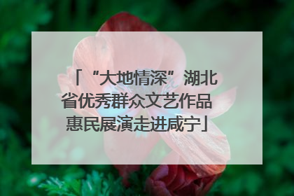 “大地情深”湖北省优秀群众文艺作品惠民展演走进咸宁