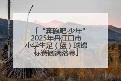 “奔跑吧·少年”2025年丹江口市小学生足（篮）球锦标赛圆满落幕