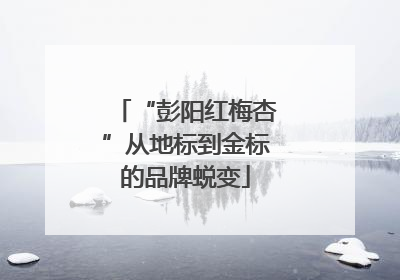 “彭阳红梅杏”从地标到金标的品牌蜕变
