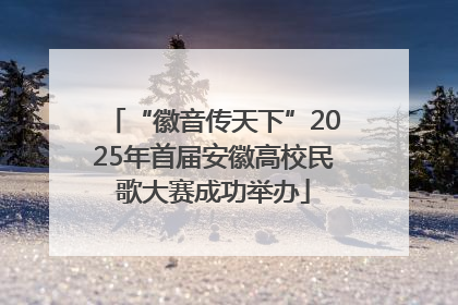 “徽音传天下”2025年首届安徽高校民歌大赛成功举办