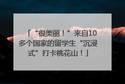 “很美丽！”来自10多个国家的留学生“沉浸式”打卡桃花山！