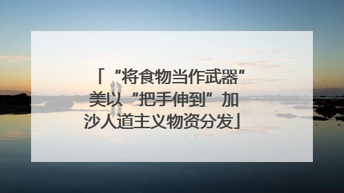 “将食物当作武器” 美以“把手伸到”加沙人道主义物资分发