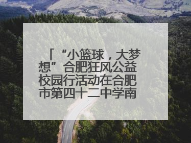 “小篮球，大梦想”合肥狂风公益校园行活动在合肥市第四十二中学南城分校圆满落幕
