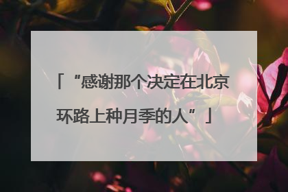 “感谢那个决定在北京环路上种月季的人”