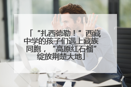 “扎西德勒！”西藏中学的孩子们遇上藏族同胞，“高原红石榴”绽放荆楚大地