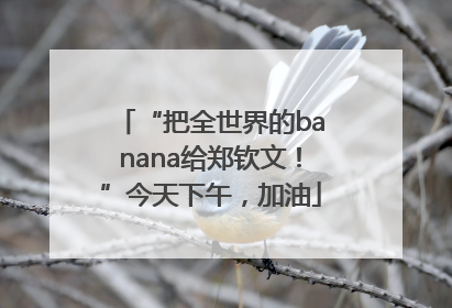 “把全世界的banana给郑钦文！”今天下午，加油