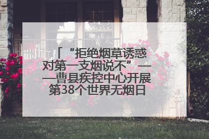 “拒绝烟草诱惑 对第一支烟说不”——曹县疾控中心开展第38个世界无烟日科普宣传活动