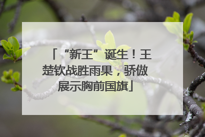 “新王”诞生！王楚钦战胜雨果，骄傲展示胸前国旗